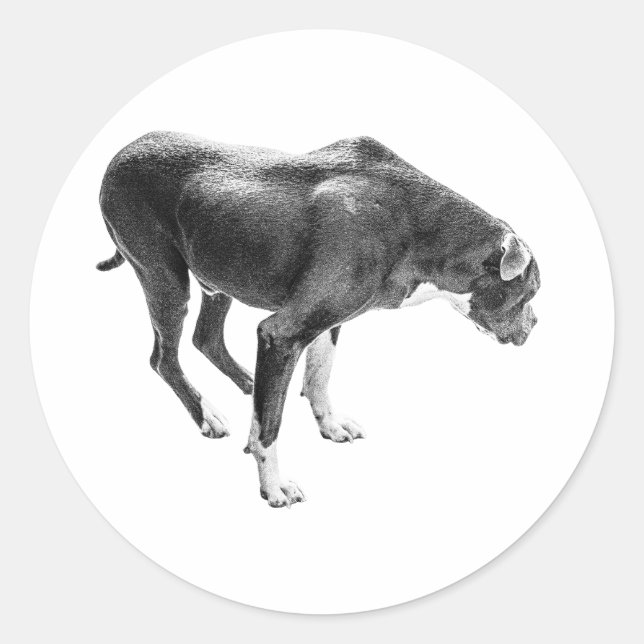 Förmånssäsong Runt Klistermärke (Framsida)