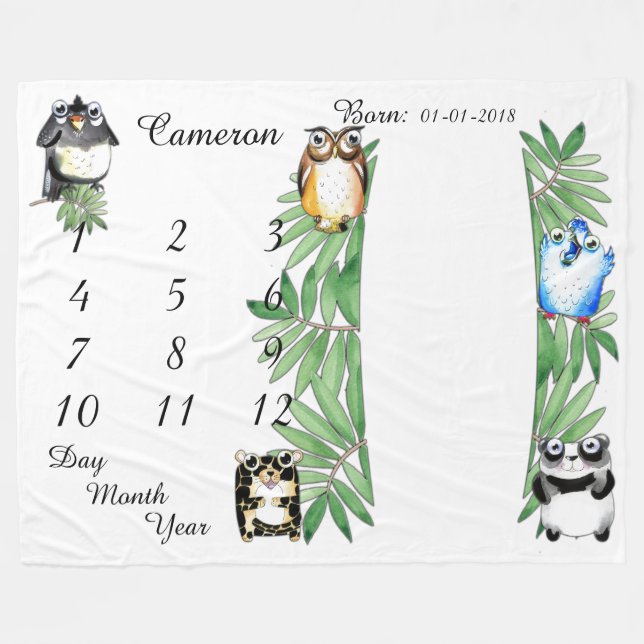 Format 80 x 60 för filt för (Framsidan (Horisontell))