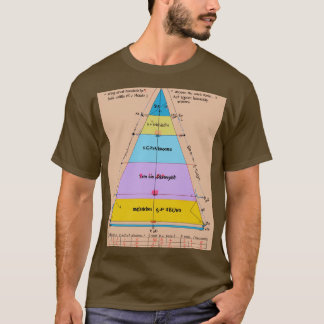"Formel Fundamentals: Physics Edition" T Shirt