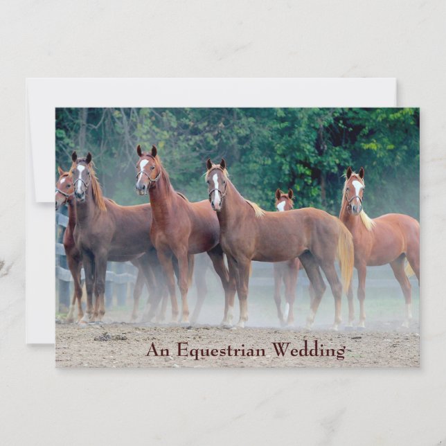 Formellt en inbjudan till Equestrian Wedding Horse (Framsida)