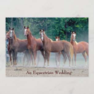 Formellt en inbjudan till Equestrian Wedding Horse
