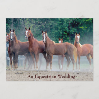 Formellt en inbjudan till Equestrian Wedding Horse