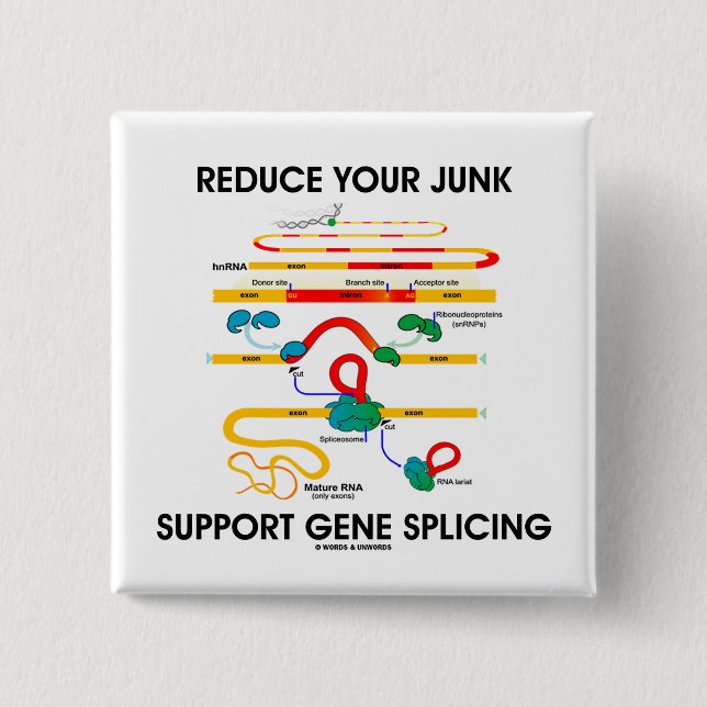 Förminska ditt splitsa för skräpservicegen knapp (Framsida)