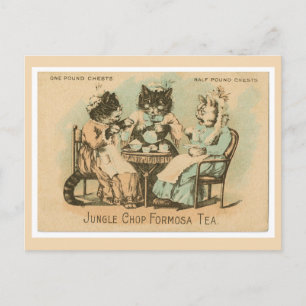 Formosa Tea Cats Vykort