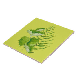 Formulär i Grönt på en keramisk platta Kakelplatta