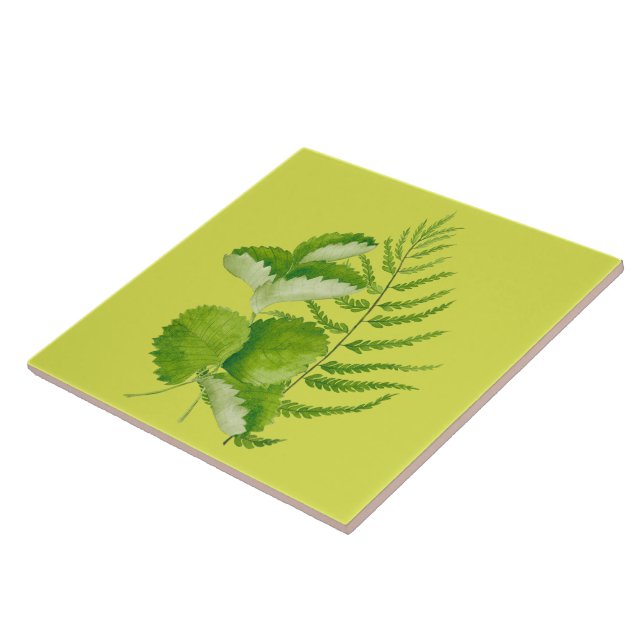 Formulär i Grönt på en keramisk platta Kakelplatta (Sidan)