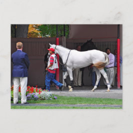 Formulärpassningsfyllning av tapit vykort