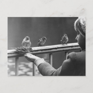 Formulera en ordnad kö vykort