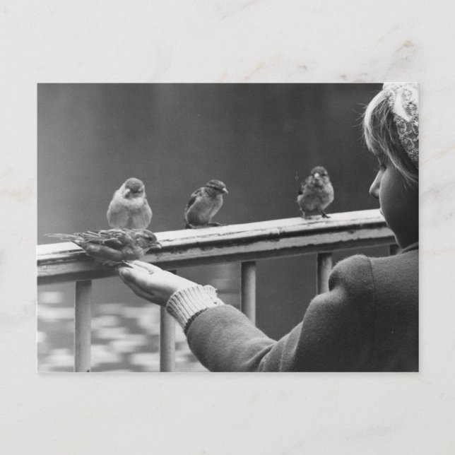 Formulera en ordnad kö vykort (Framsida)