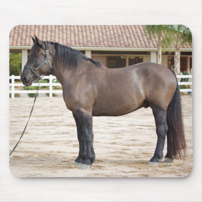 Formulera hästen som musen vadderar musmatta (Framsidan)