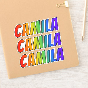 Förnamn "CAMILA" med rolig regnbågefärgläggnin Klistermärken