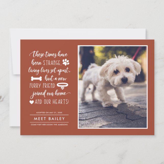 Förnimmelse av nyare fotomeddelande om sällskapsdj julkort (Framsida)