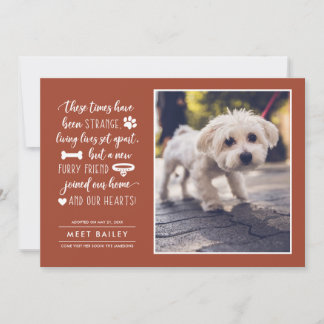 Förnimmelse av nyare fotomeddelande om sällskapsdj julkort