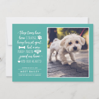 Förnimmelse av nyare fotomeddelande om sällskapsdj julkort