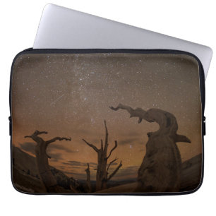 Forntida Bristlecone Pine-skogen Kalifornien Laptop Fodral