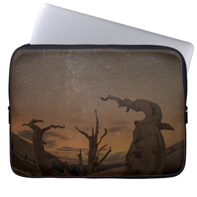 Forntida Bristlecone Pine-skogen | Kalifornien Laptop Fodral (Framsidan)