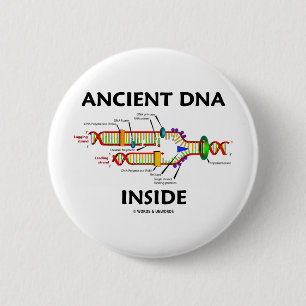 Forntida DNA-insida (DNA-Replicationhumorn) Knapp