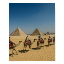 Forntida Egypten pyramider öken Kamelritt