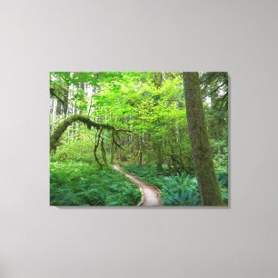 Forntida lundar-ledstig i Olympic nationalpark Canvastryck