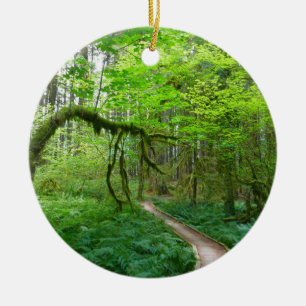 Forntida lundar-ledstig i Olympic nationalpark Julgransprydnad Keramik