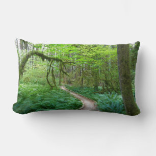 Forntida lundar-ledstig i Olympic nationalpark Lumbarkudde