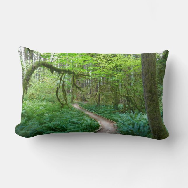 Forntida lundar-ledstig i Olympic nationalpark Lumbarkudde (Framsida)