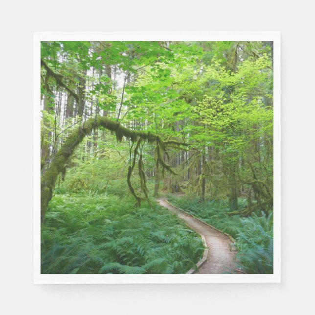 Forntida lundar-ledstig i Olympic nationalpark Pappersservett (Framsidan)