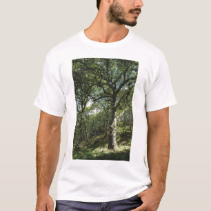 Forntida oaks t-shirt