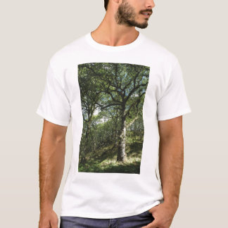 Forntida oaks tröja