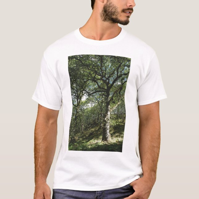 Forntida oaks tröja (Framsida)