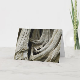 Forntida trädhjärtakort kort