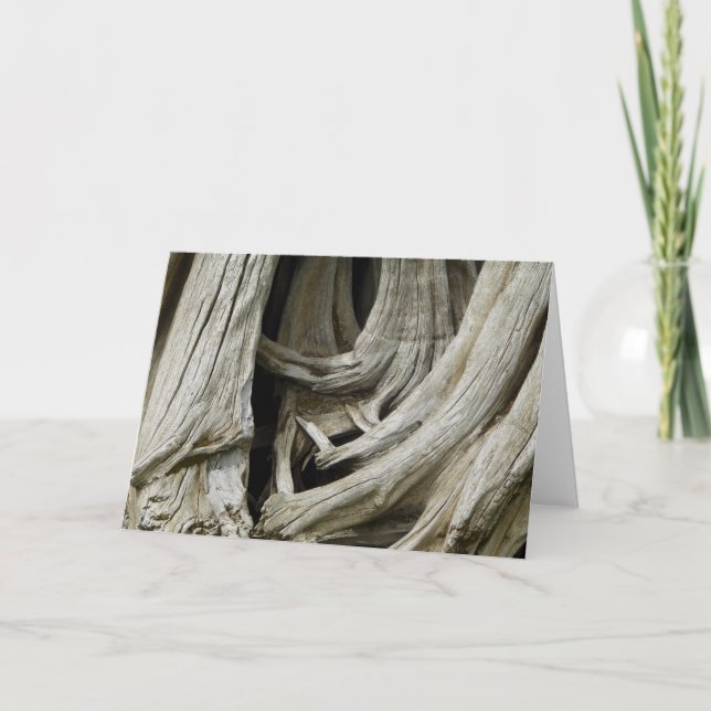 Forntida trädhjärtakort kort (Framsida)