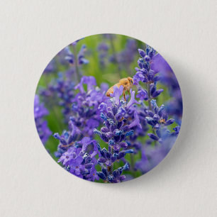 Förorenare Spara Bes Lavender Flowers Örter Knapp