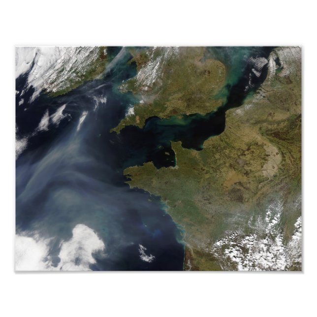 Förorening av Frankrike Fototryck (Framsidan)