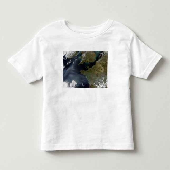 Förorening av Frankrike Tee Shirt (Framsida)