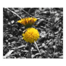 Förorening av tidigt Vår