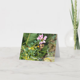 Föroreningssäsongen är över tack kort