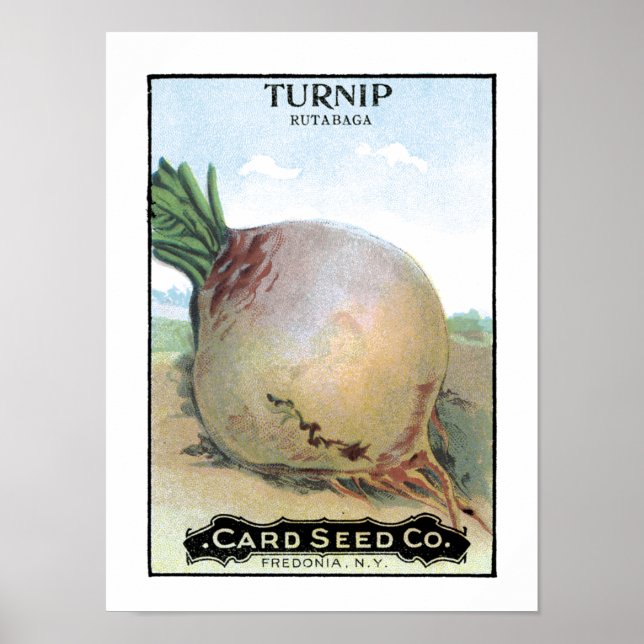 Förpackning för utsäde av Turnip Vintage Poster (Framsidan)