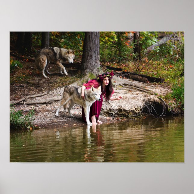 Förpackningen Poster (Framsidan)