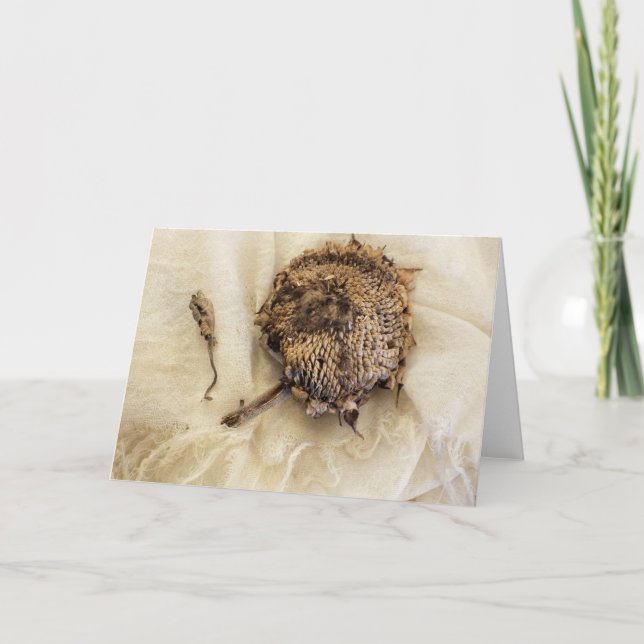 "Förra året" Gammalt torkat solroshuvud på Fabric Kort (Framsida)