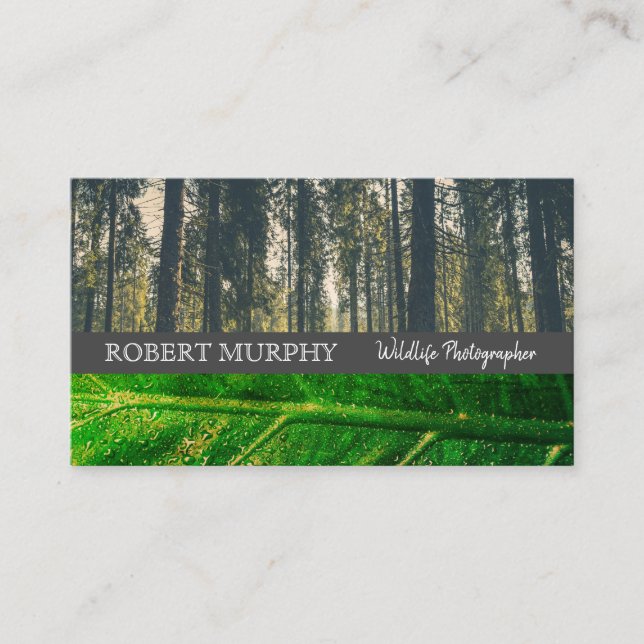 Forrest | Löv | Vilda Livsfotograf Visitkort (Framsida)