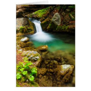 Fors på Hare Creek, Kalifornien Hälsningskort