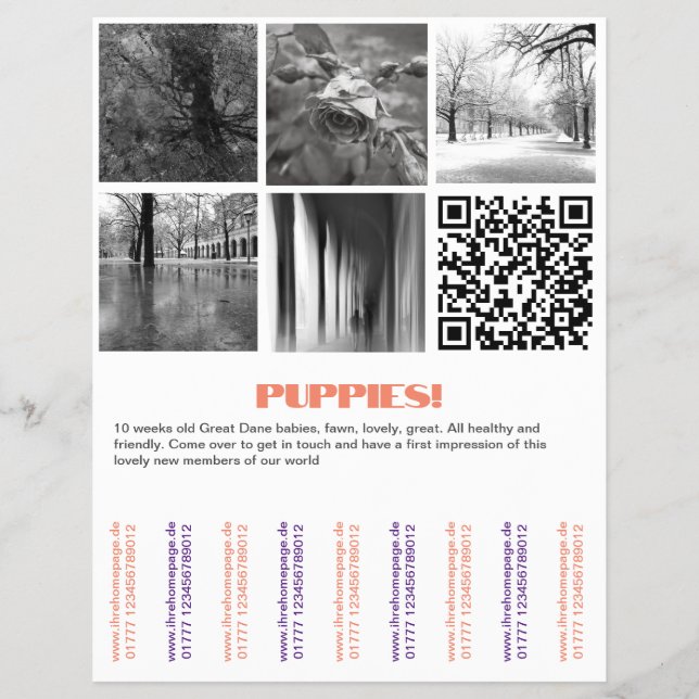 Försäljning Danska Valpar Flyer (Framsidan)