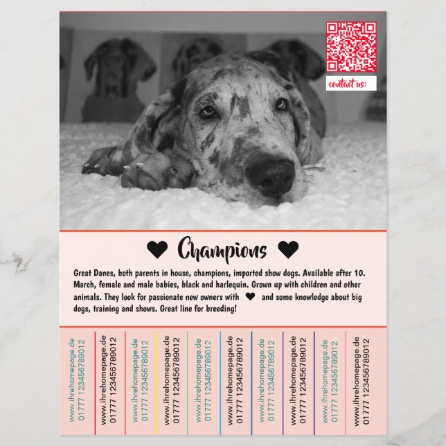 Försäljning Danska Valpar Flyer (Framsidan)