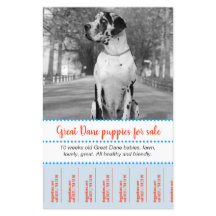 Försäljningsdockor Flyer