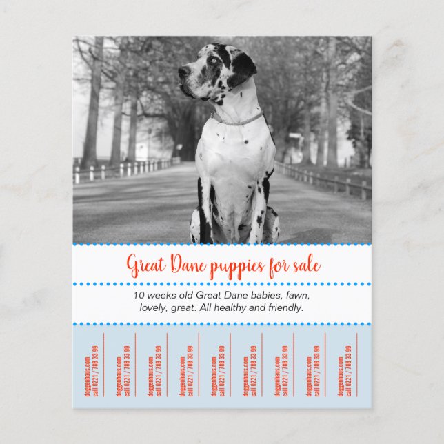 Försäljningsdockor Flyer (Framsidan)