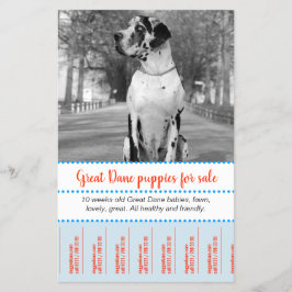 Försäljningsdockor Flyer