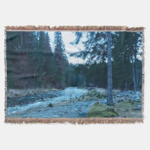 Forsande Bergström – Vild Natur Rumänien
