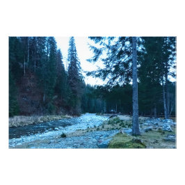 Forsande Bergström – Vild Natur Rumänien Fototryck