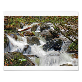 Forsande vatten1 fototryck